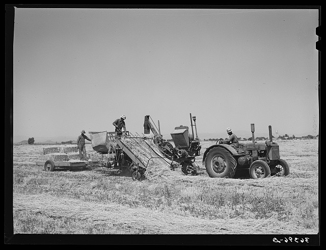 Casa Grande Valley Farms Pinal County Arizona 1940 Hay Chopper Tractor