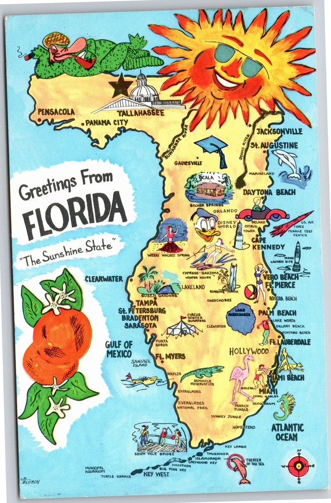State Maps~Oranges & Pictorial Map of Florida~Vintage Postcard
