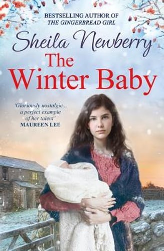 The Winter Baby: A perfect, heartwarming winter story from the Queen of Family