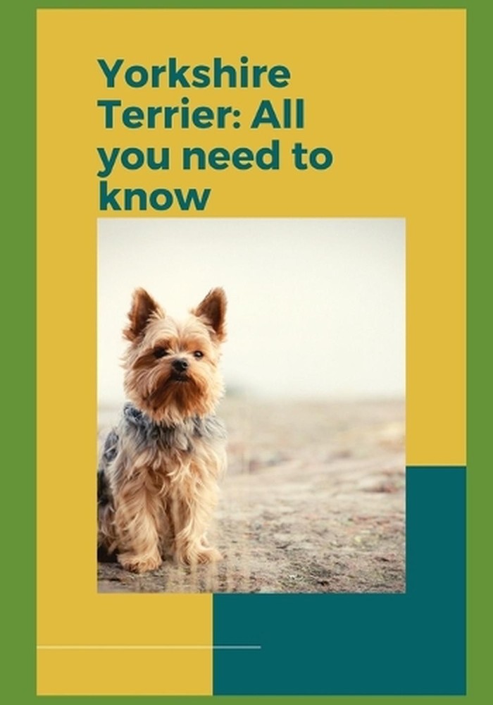 Yorkshire Terrier: All you need to know! by Paul Fink Paperback Book