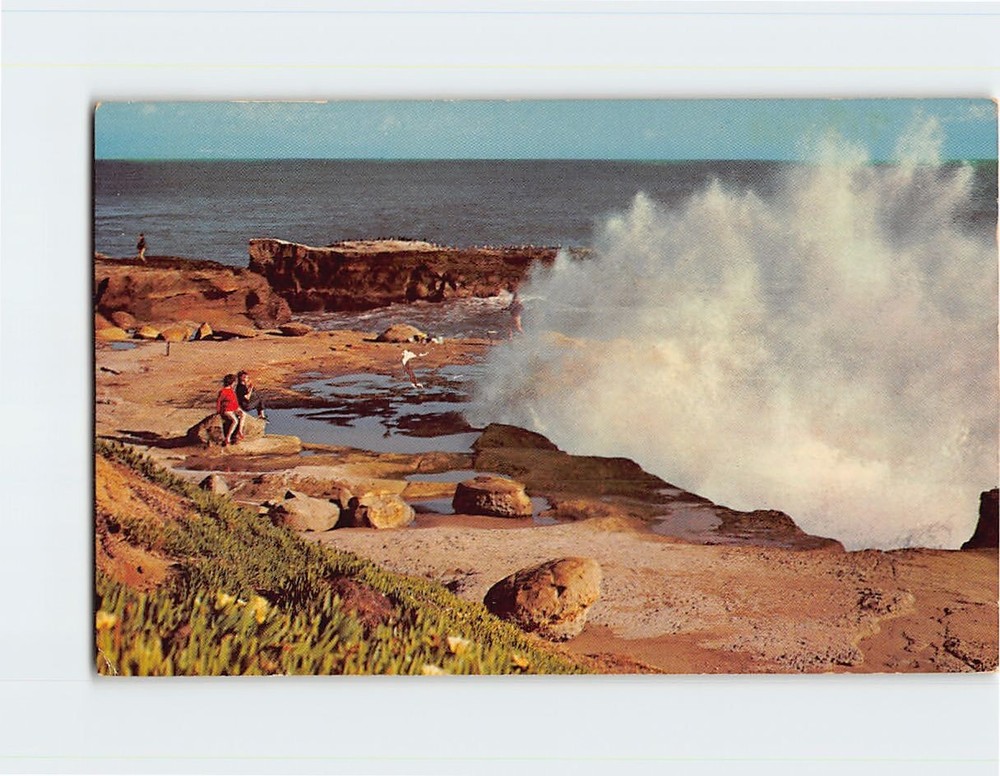 Postcard View from West Cliff Drive Santa Cruz California USA