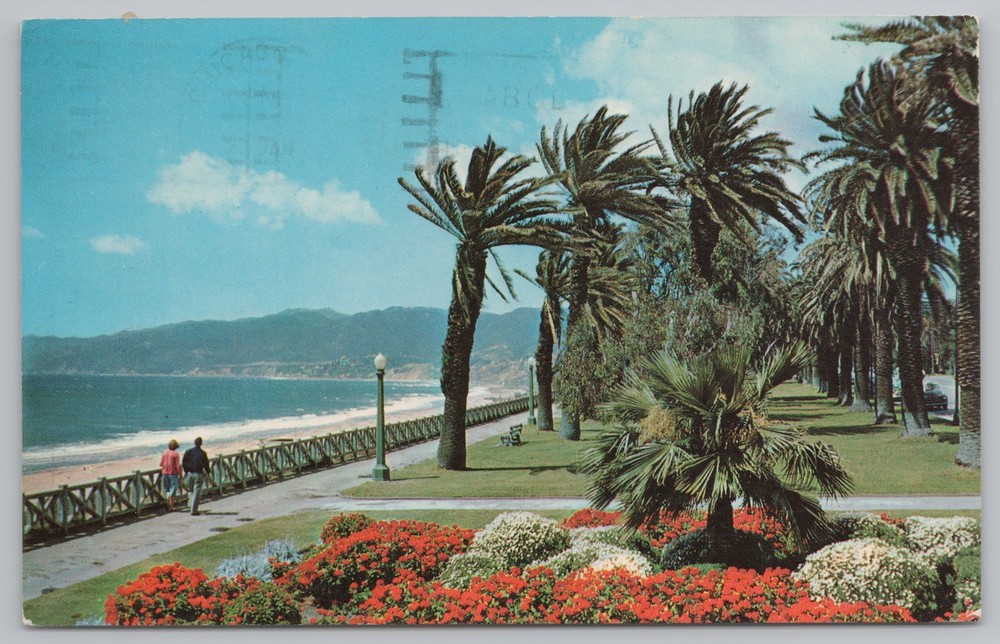 Santa Monica California~Palisades Park~Geranium Bed~Beach~Vintage Postcard