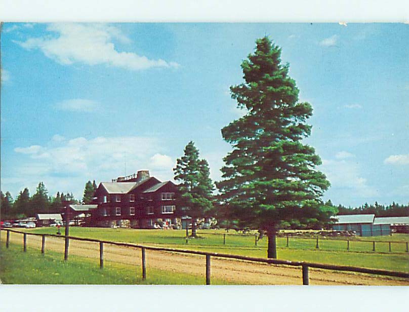 Unused Pre-1980 SKY LODGE MOTEL Moose River Maine ME s3963