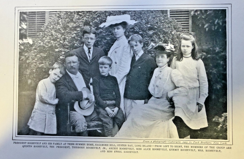 1903 Vintage Magazine Illustration President Theodore Roosevelt With His Family