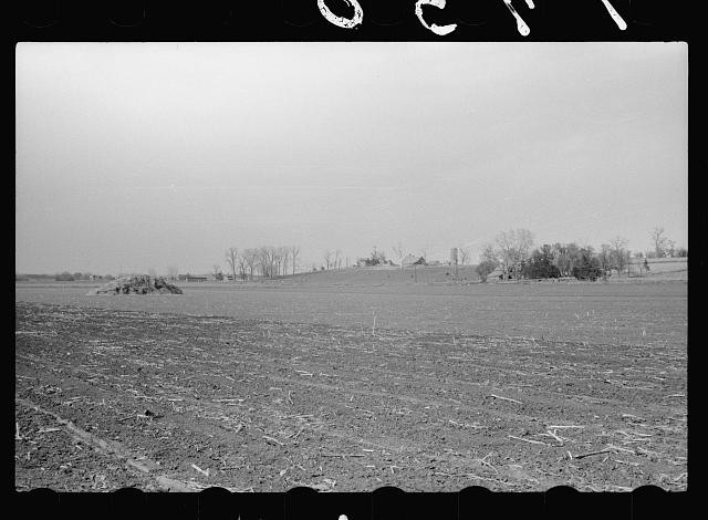 1930s Rural Farm Field Landscape Trees Fenceline Black and White Photo