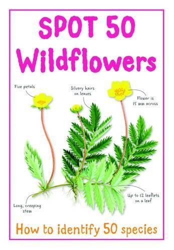 Spot 50 Wildflowers (Large Spot 50 Series) by Camilla de la Bedoyere Book TheFREE US DELIVERY | ISBN: 1848106068 | Quality Books
