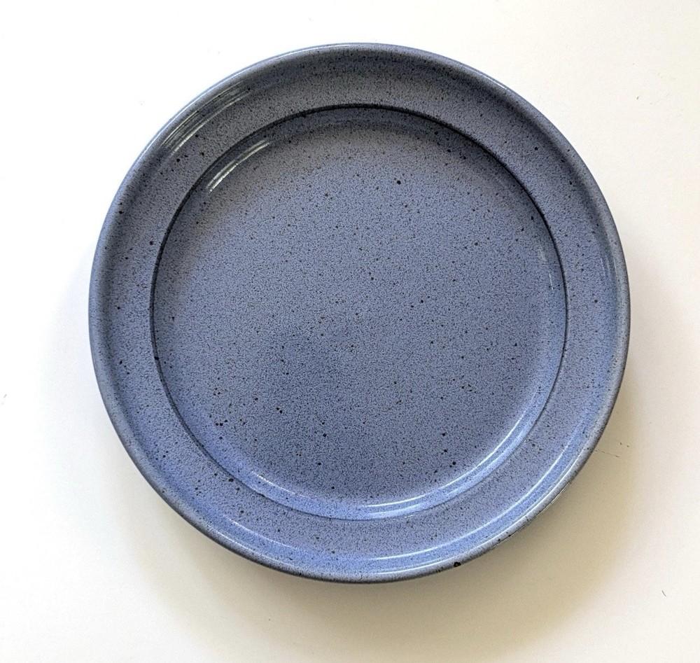 Vintage Dansk International Nielstone Blue Speckled 10” Dinner Plates Japan