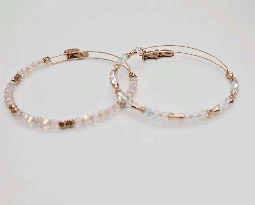 Alex and Ani Charm Bracelet Lot of 2 Rose Gold tone Bangle boho energy OSFM #1