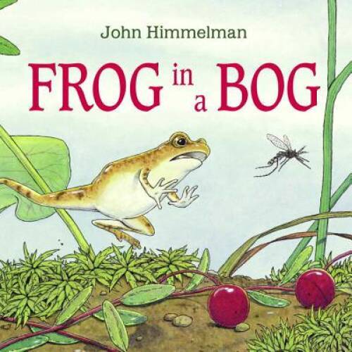Frog in a Bog - Paperback By Himmelman, John - VERY GOOD