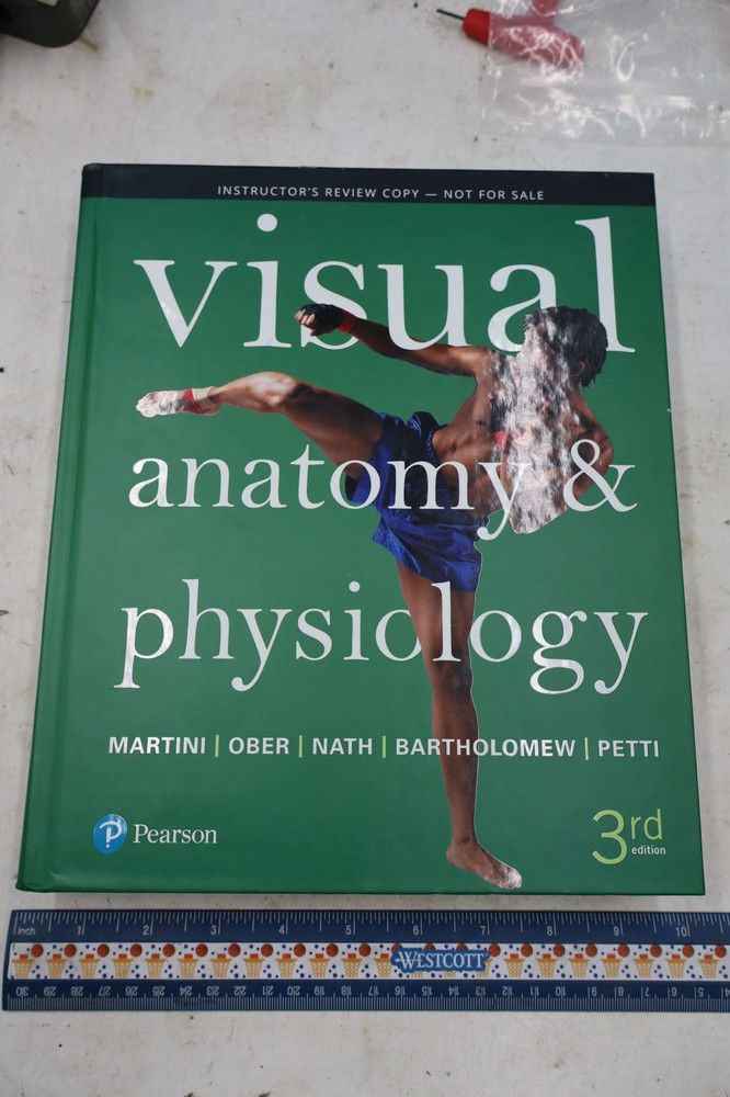 IE Visual Anatomy & Physiology 3rd Ed Hardcover Martini Ober Pearson Anatomy