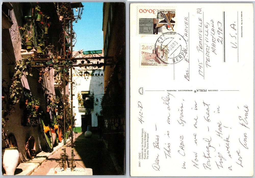 Continental Cadiz Spain Street Postcard
