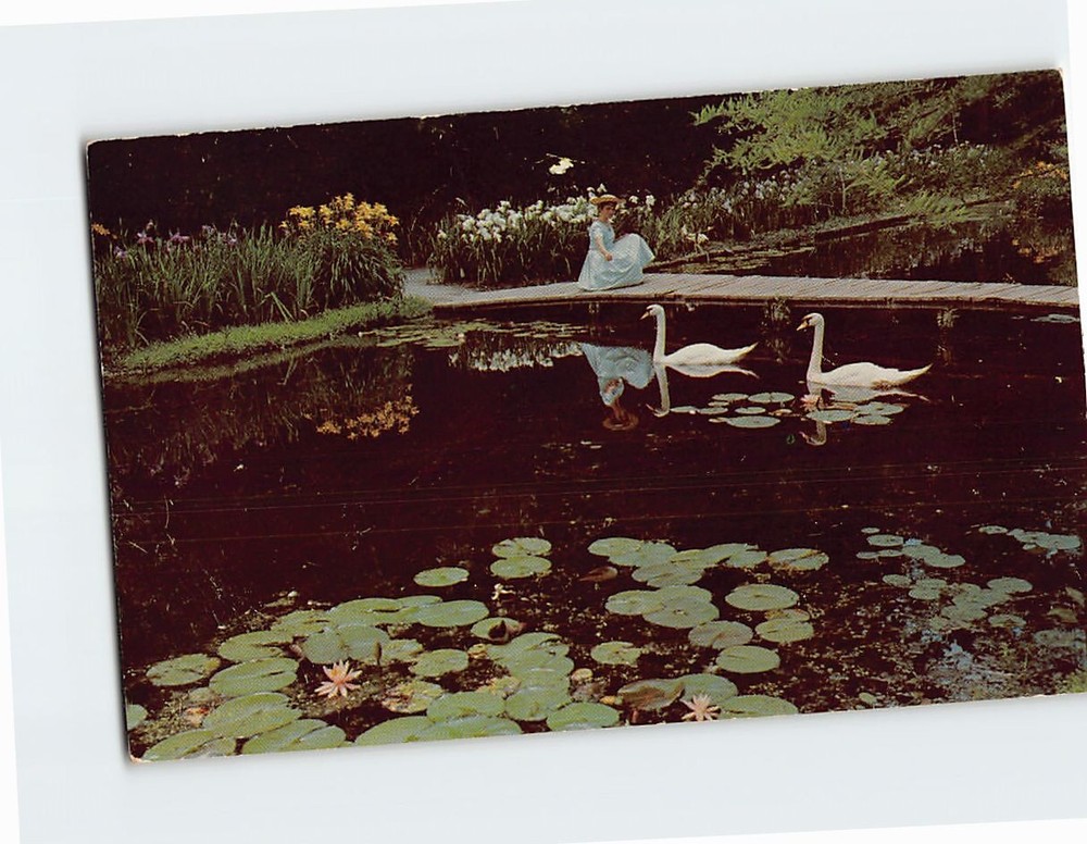 Postcard Swan Lake Gardens Sumter South Carolina USA