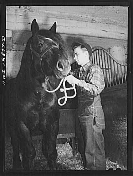 Photo:1910s Boy Leading Horse in Stable Farm Scene