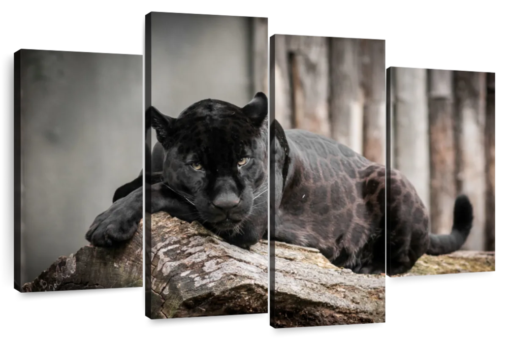 Lounging Black Panther Wall Art