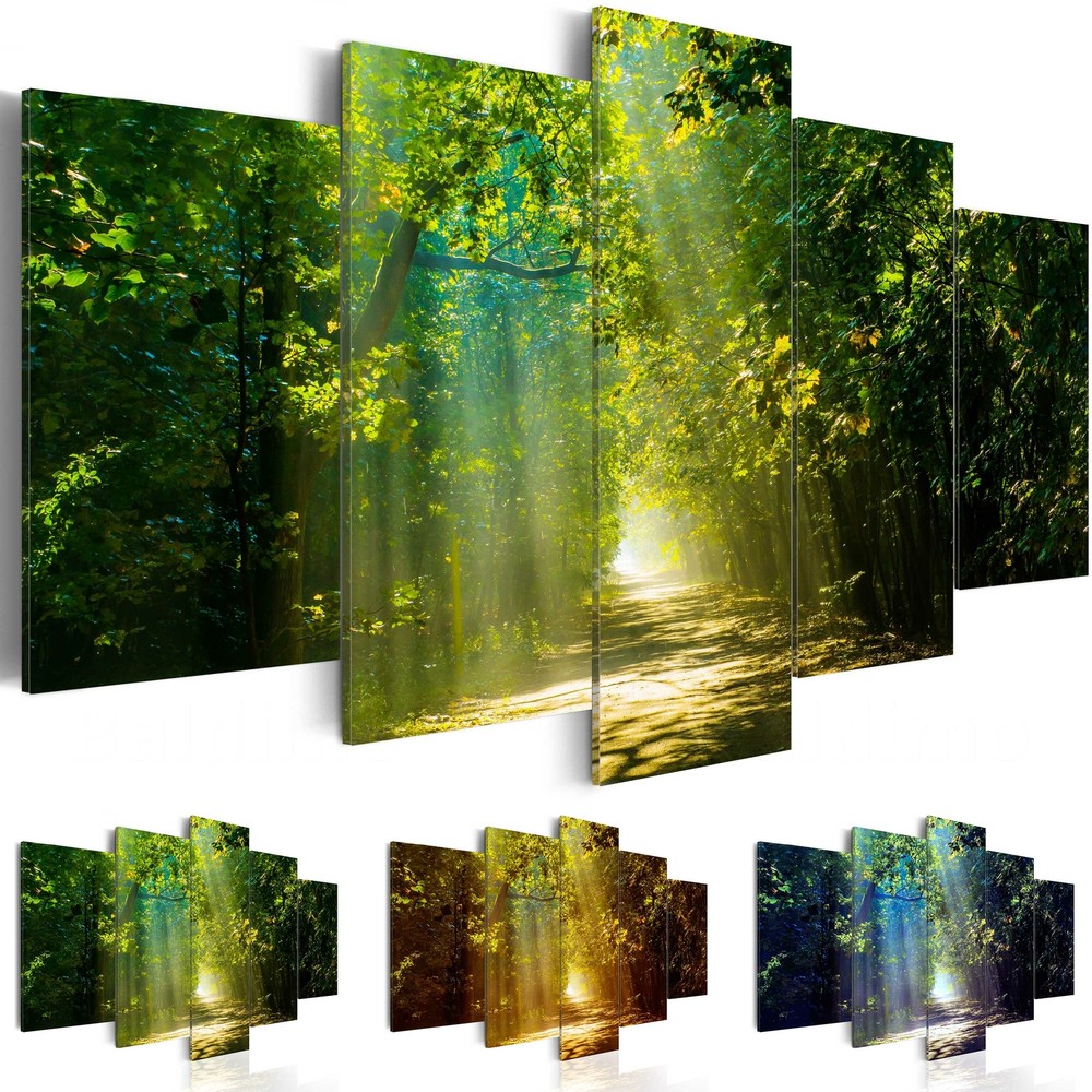 FOREST SUNSHINE LANDSCAPE Canvas Wall Art Image Photo Print c-A-0087-b-n