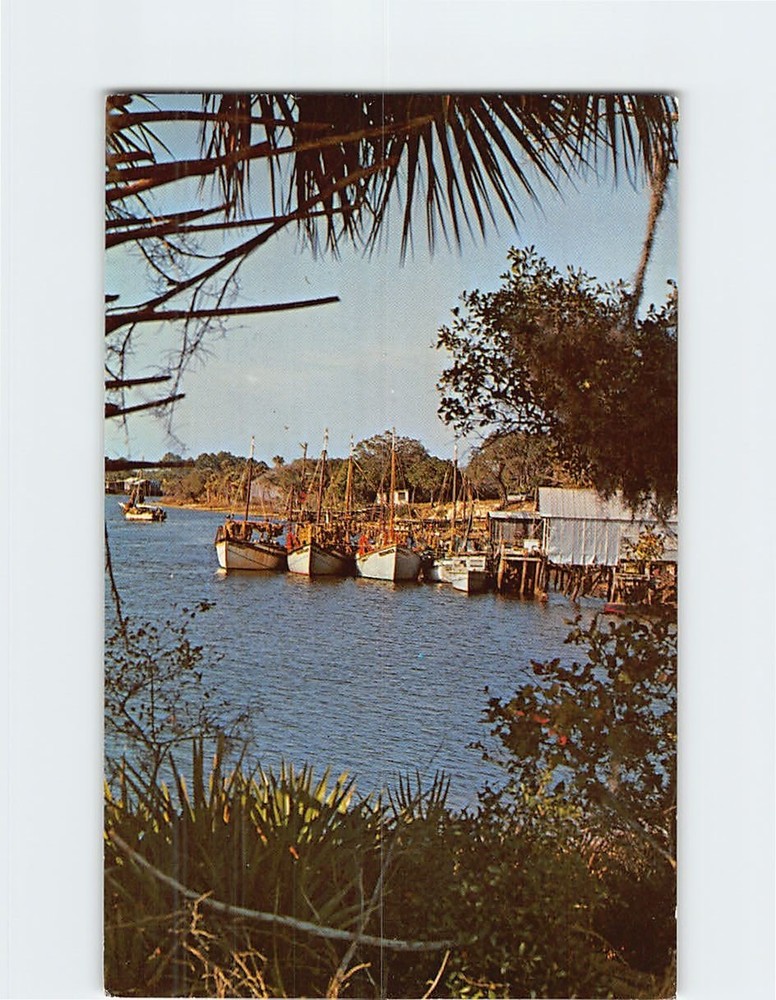 Postcard Sponge boats on the Anclote River in Tarpon Springs Florida USA