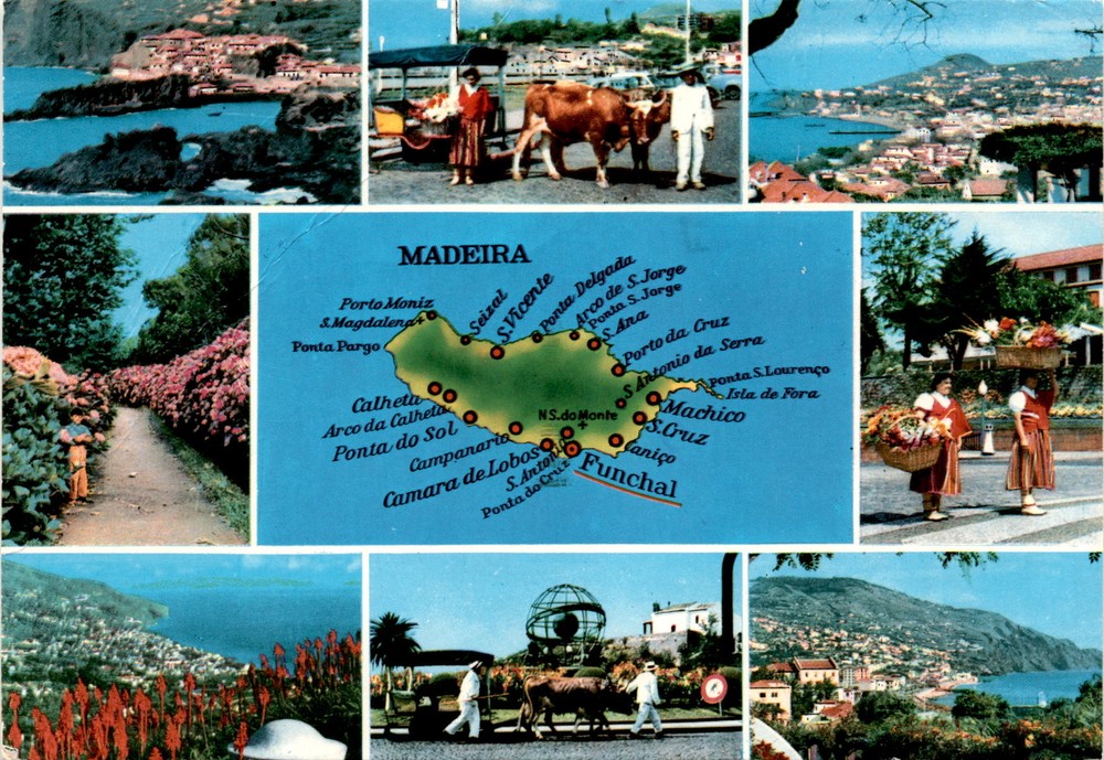 Stunning Madeira Postcard Featuring Porto Moniz Ponta do Sol Camara de Lobos and Funchal