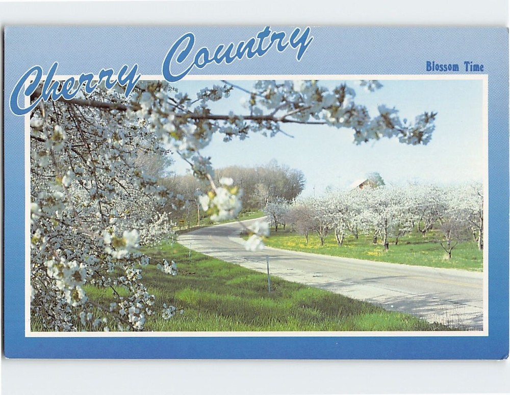 Postcard Blossom Time Cherry Country Michigan USA