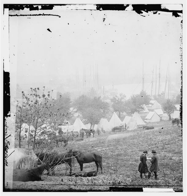 Federal encampment,tents,Pamunkey River,Cumberland Landing,Virginia,VA,1862