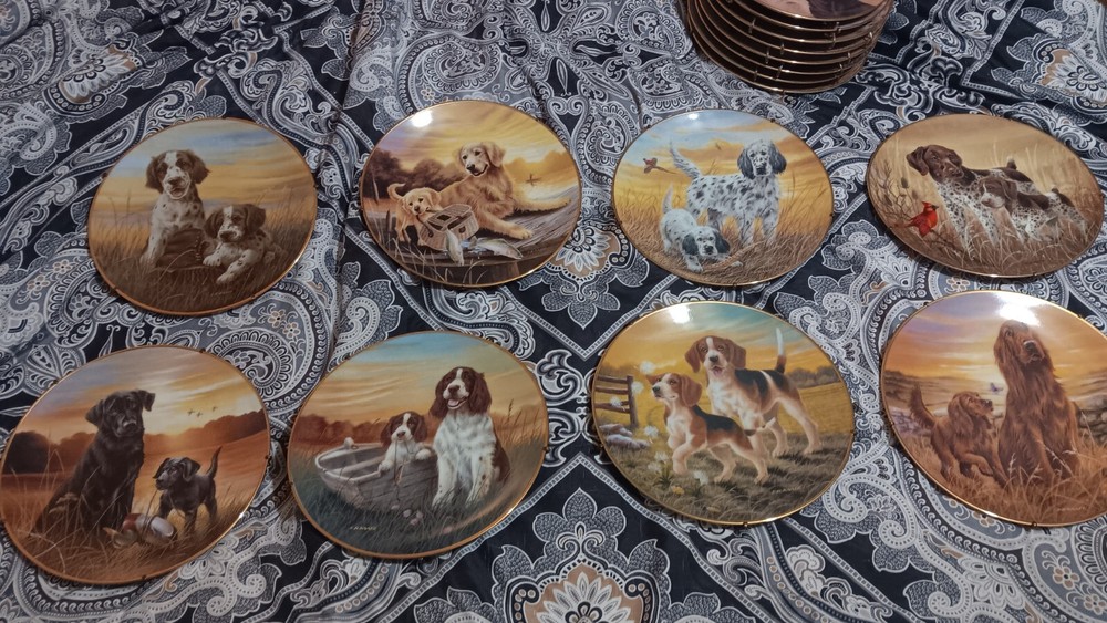 Bradford Exchange Collectible Plates for Displays and Gifts