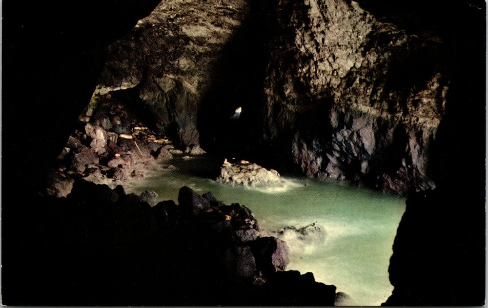 Sea Lion Cave Oregon Coast Near Florence Oregon Vintage Postcard