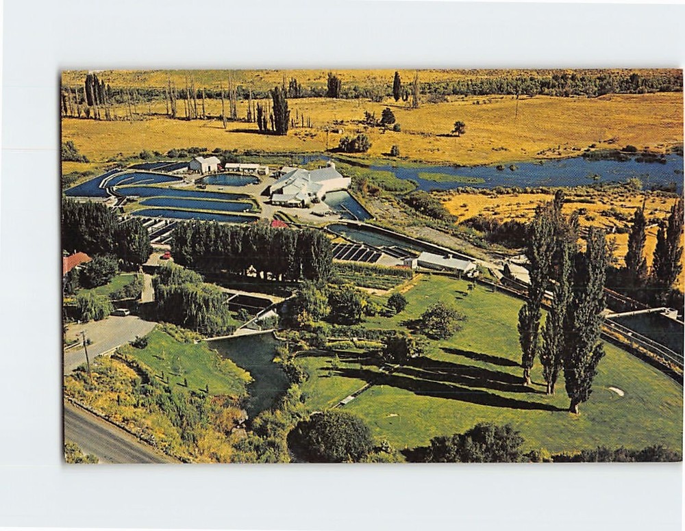 Postcard Snake River Trout Ranch Idaho USA