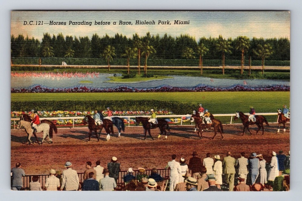 Miami FL-Florida, Hialeah Park, Horses Parade before Race, Vintage Postcard