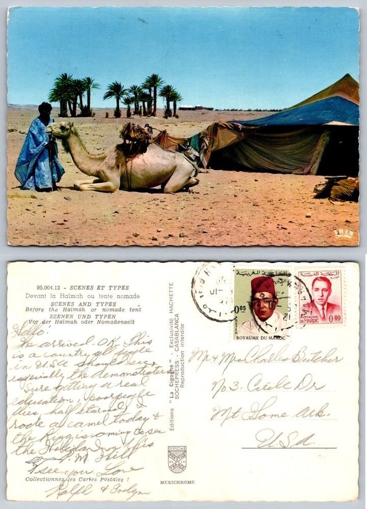 Vintage Morocco Desert Haimah Tent Nomadic Scene Camel Palm Trees Postcard 1961