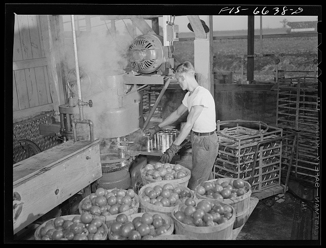 Dunklin County Missouri 1942 Tomato Canning REA Power Worker Industrial
