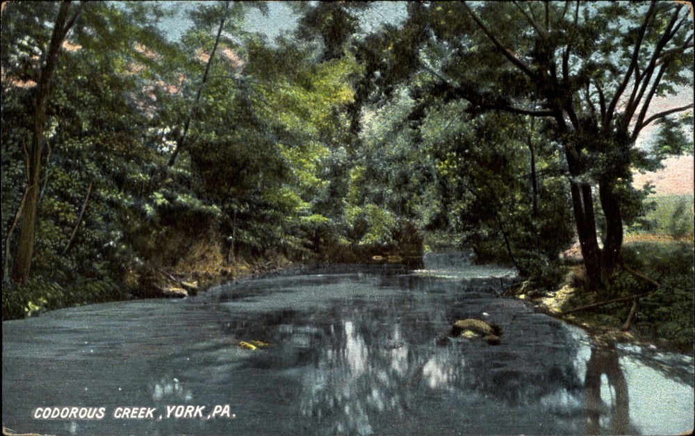 Codorous Creek ~ York Pennsylvania PA ~ c1910  vintage postcard