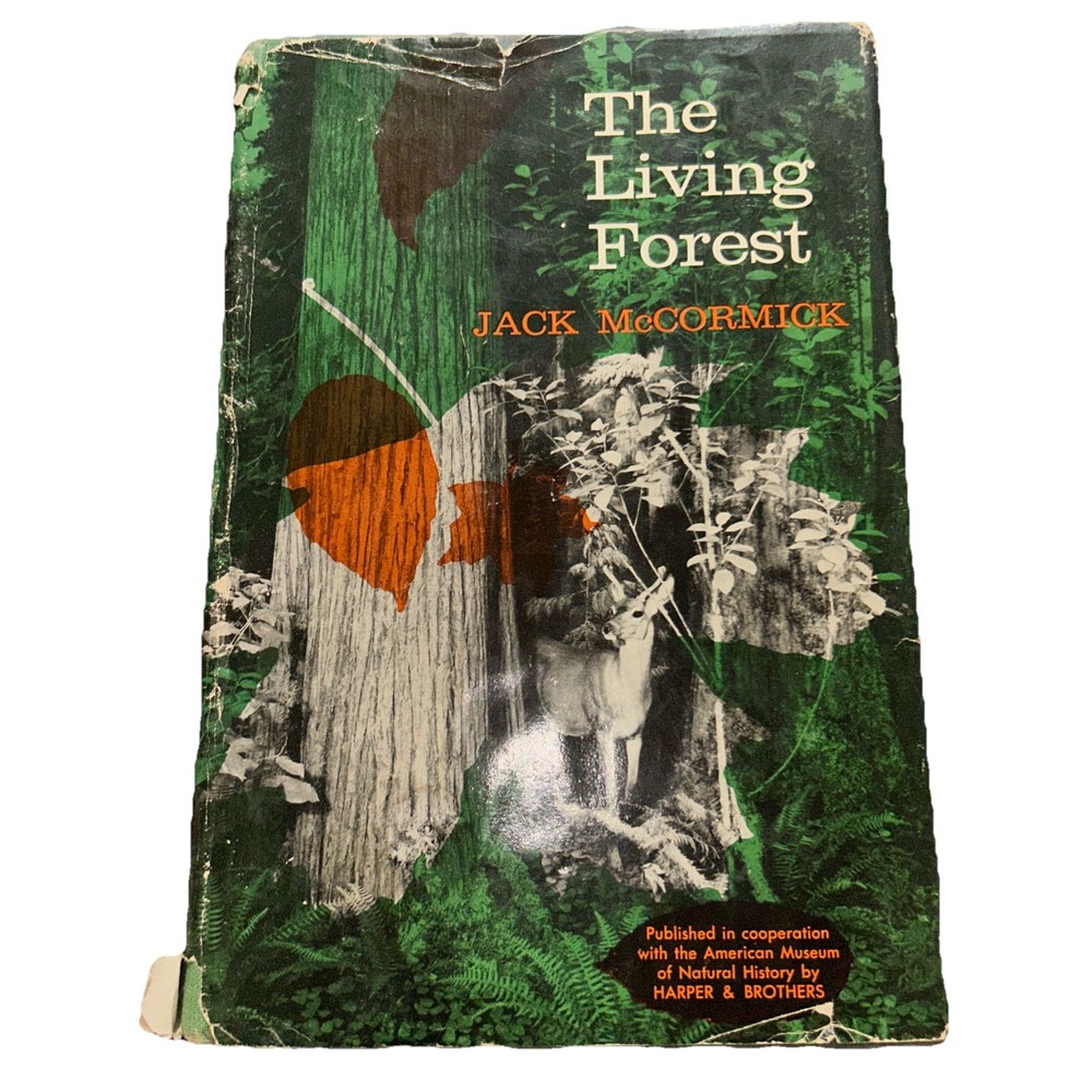 The Living Forest By Jack McCormick