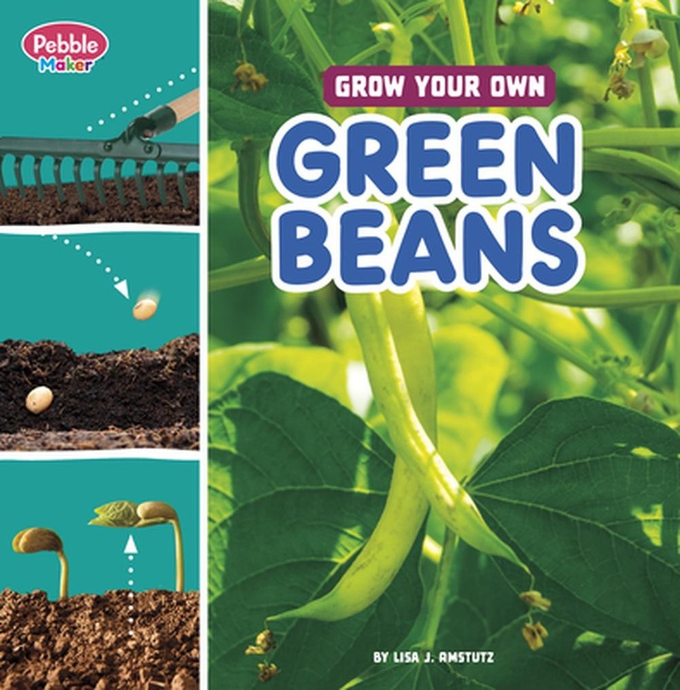 Grow Your Own Green Beans by Lisa J. Amstutz Paperback Book