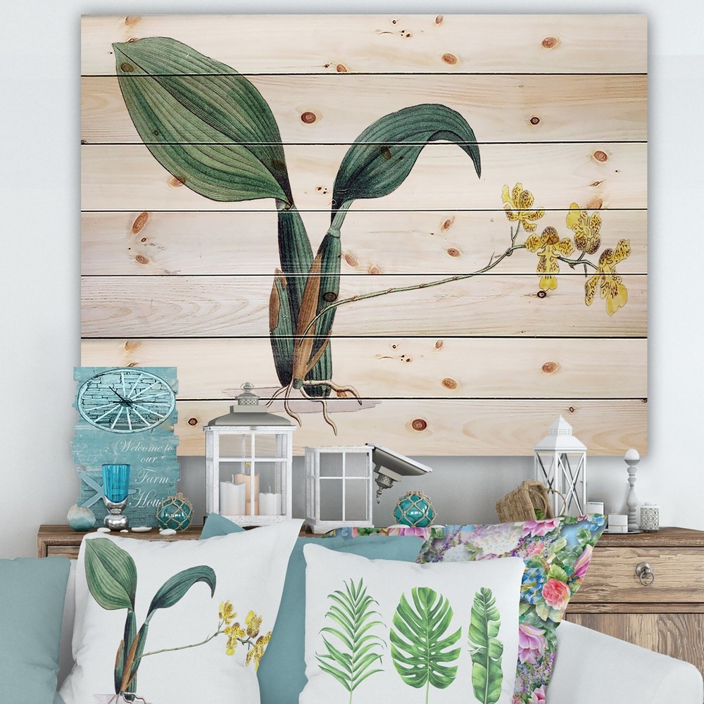 Designart 'Vintage Plant Life VI' Traditional Print on