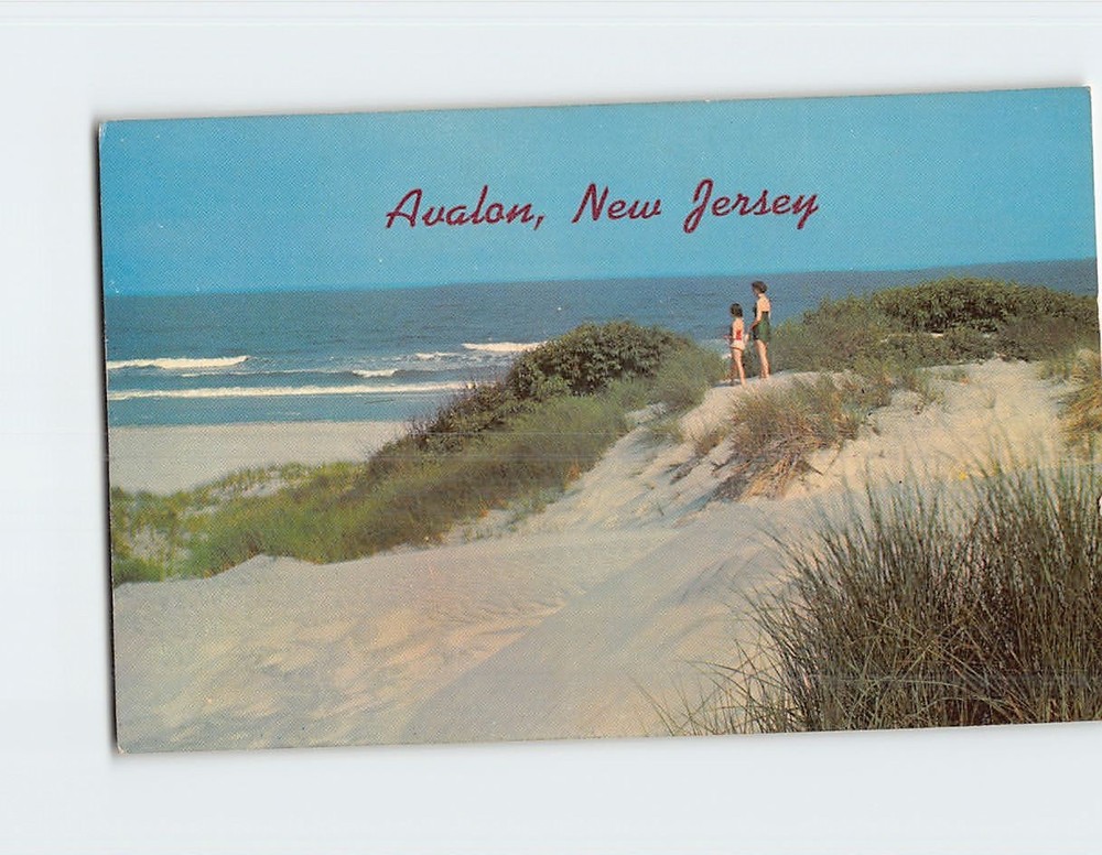 Postcard Sand Dunes & Ocean Avalon NJ USA