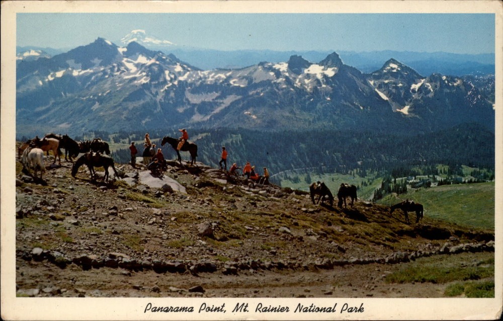 Mt Rainier Natl Park Washington Panorama Point horses riders snow 1960s postcard