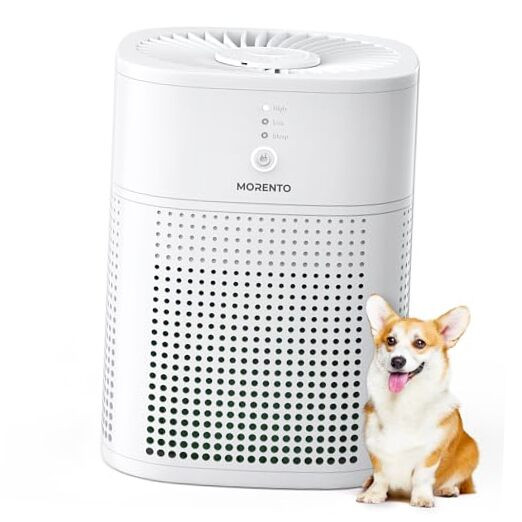 Air Purifiers for Bedroom, HEPA Filter for Smoke, Pet Dander with Fragrance