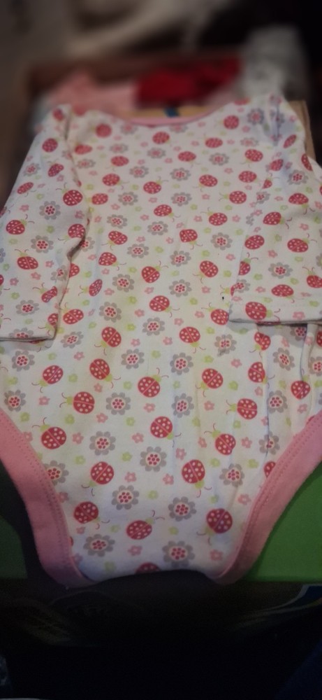 Kidgets 3-6 Months Girl Ladybug Bodysuit