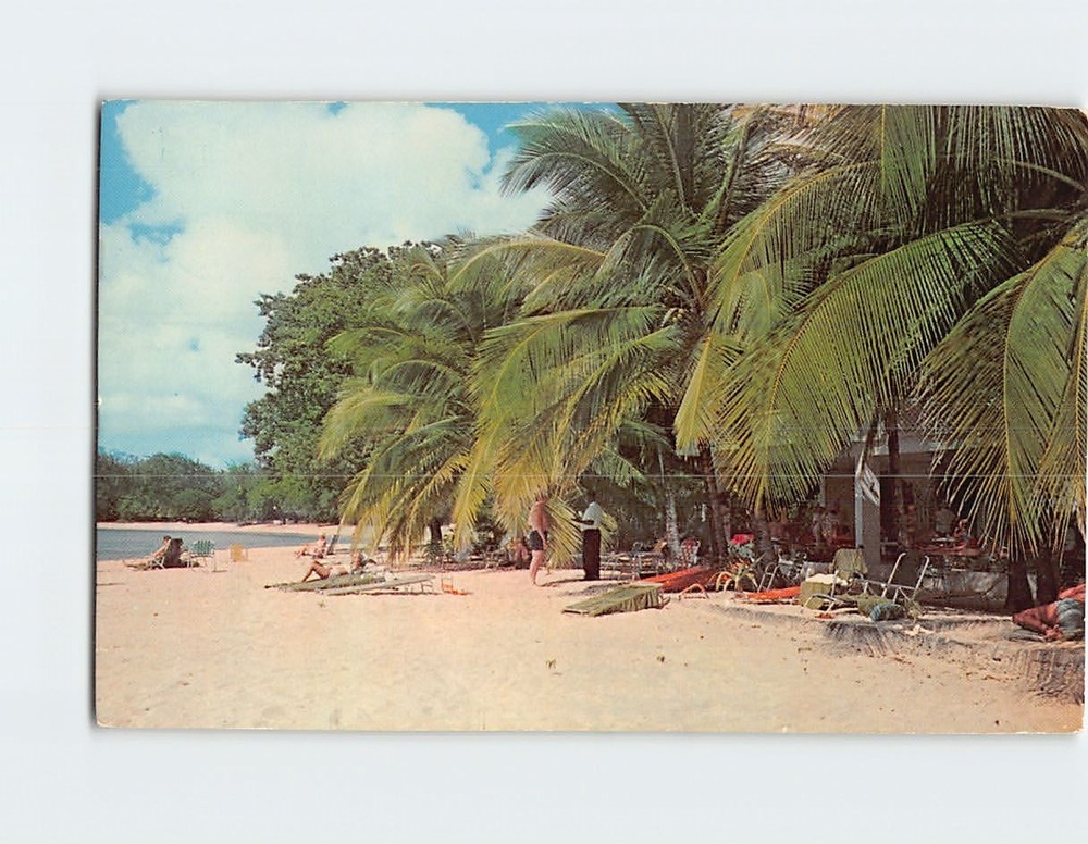 Postcard Beach Scene