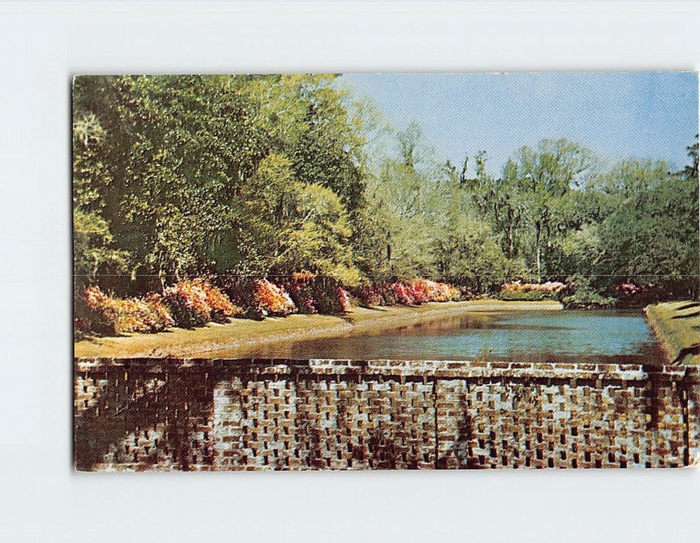 Postcard Middleton Gardens Charleston South Carolina USA