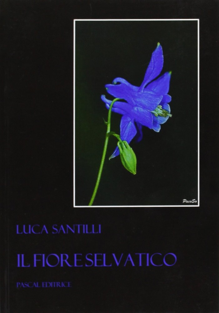 Luca Santilli Il fiore selvatico (Paperback)Another great item from Rarewaves USA | Free delivery!