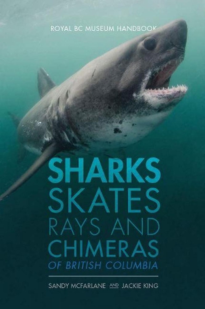 Sharks, Skates, Rays and Chimeras of British Columbia by Jackie King (English) P