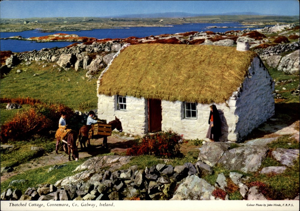 Thatched Cottage Connemara County Galway Ireland vintage postcard m168