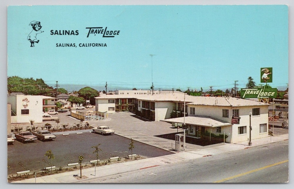 Vintage Salinas Travelodge Postcard - California Motel w/ Sleepy Bear