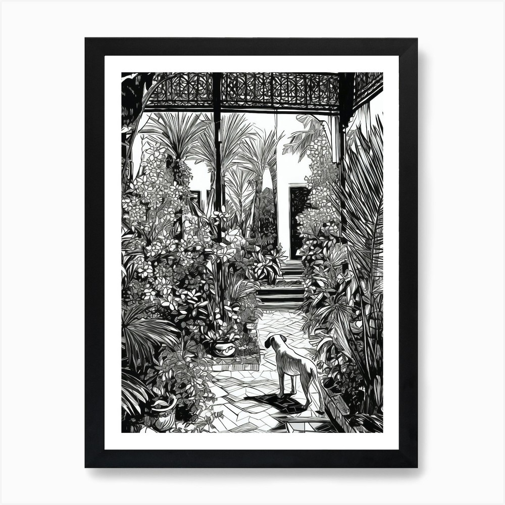Drawing Of A Dog In Jardin Majorell Framed Wall Art Poster Canvas Print Picture