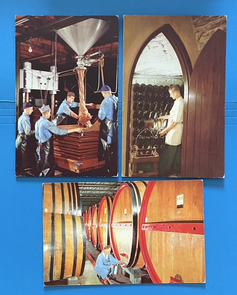 The Pleasant Valley Wine Co Hammondsport New York NY Postcard