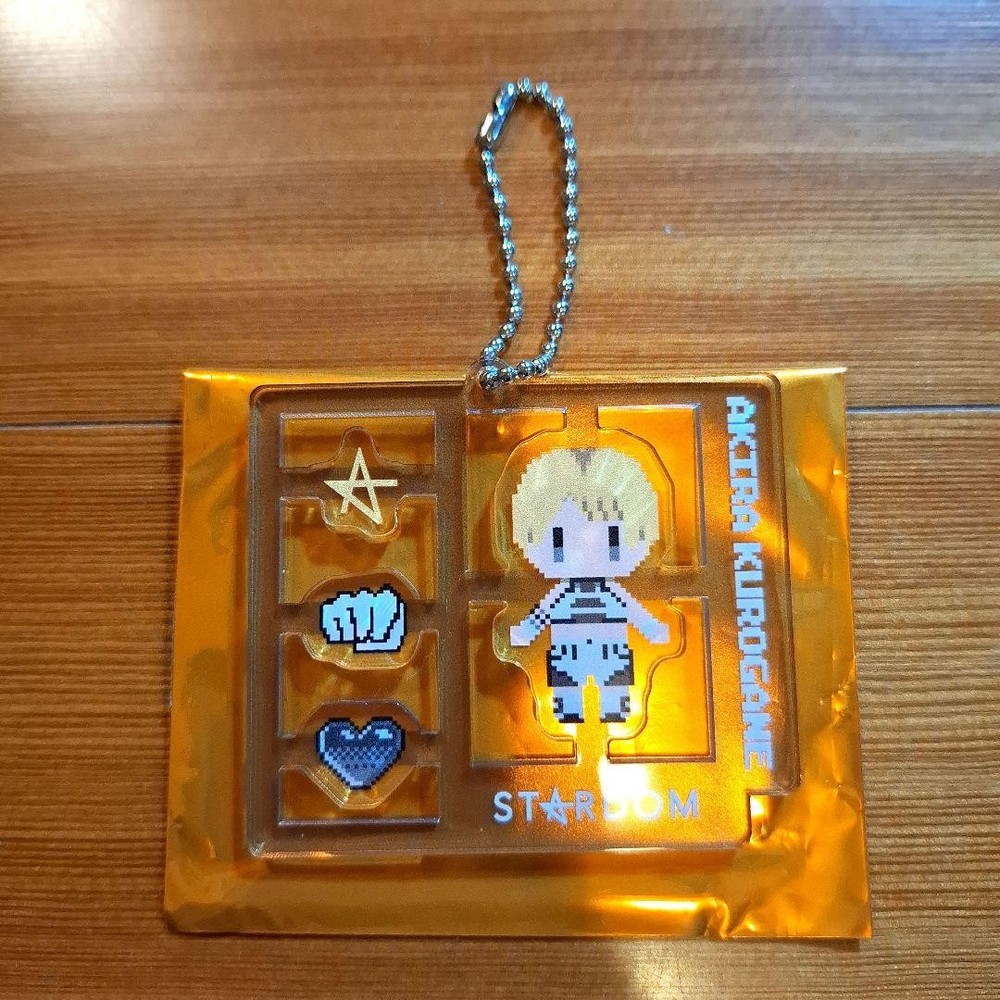 STARDOM Tetsu Akira Acrylic Keychain Dot Illustration Japan Pro Wrestling New