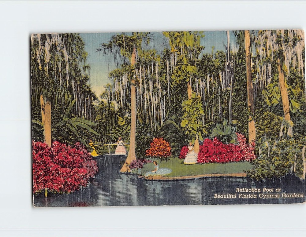Postcard Reflection Pool Cypress Gardens Florida USA