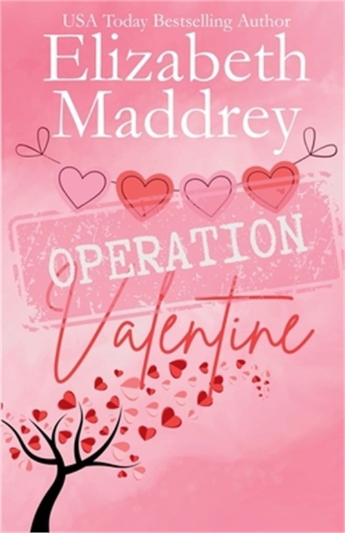 Operation Valentine (Paperback or Softback)