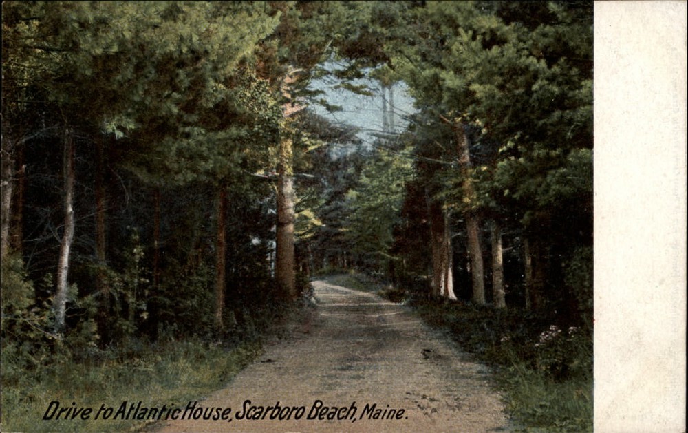 Atlantic House Drive Scarboro Beach Maine woods ~ c1905 UDB postcard unused