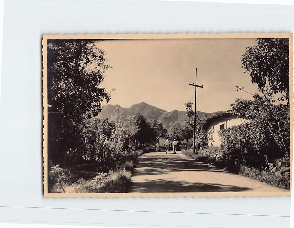 Postcard Road Nature Mountain Landscape Scenery